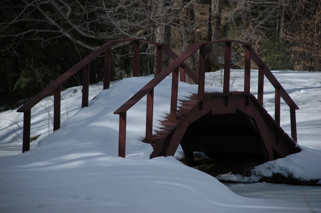 Bridge over Frozen Waters by Craig Deats